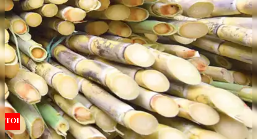 Sugar sector milestone: Industry hits Rs 1.3 lakh crore mark; Union minister Pralhad Joshi says growth fuels rural prosperity & energy security