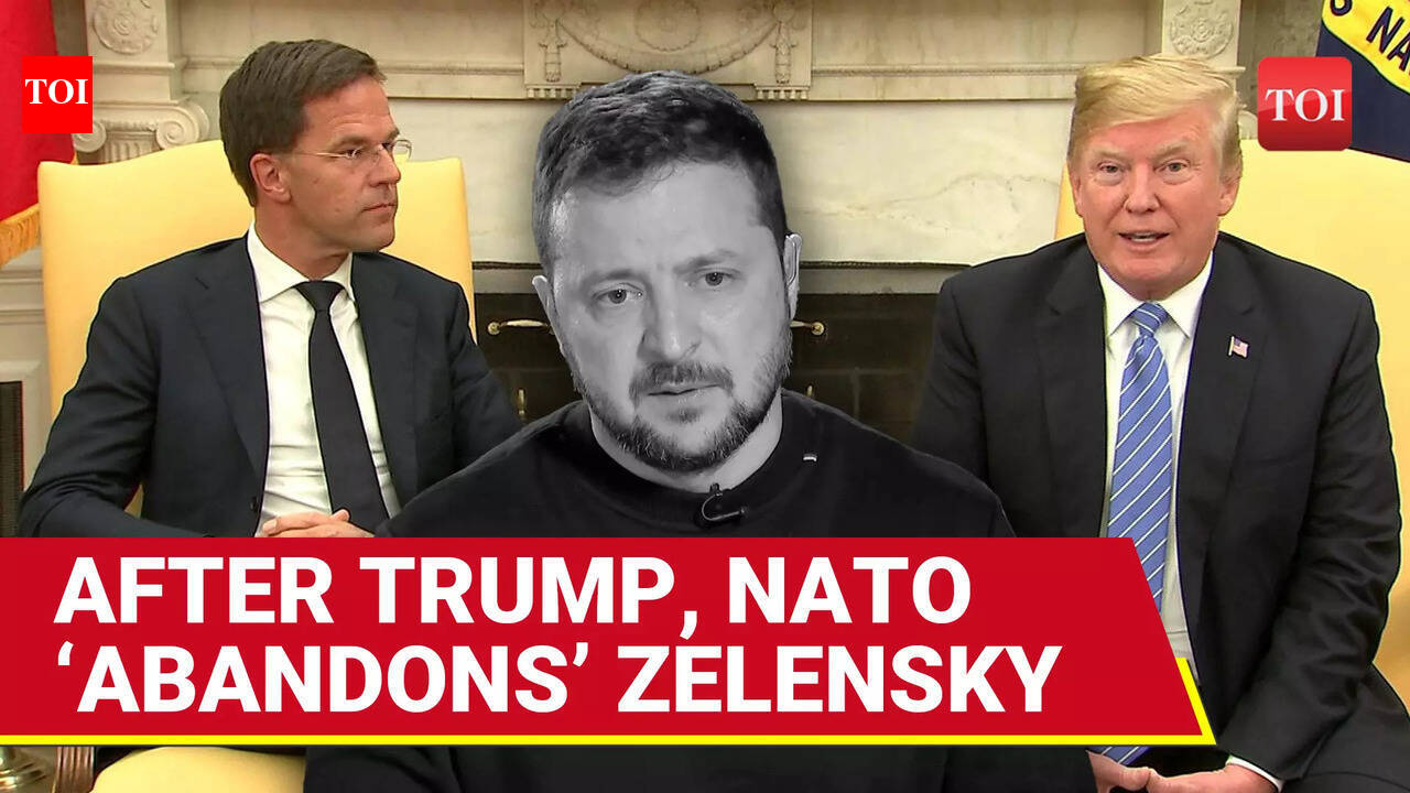 NATO Boss Rutte ‘DUMPS’ Zelensky After Trump Cuts Off US Military Aid ...