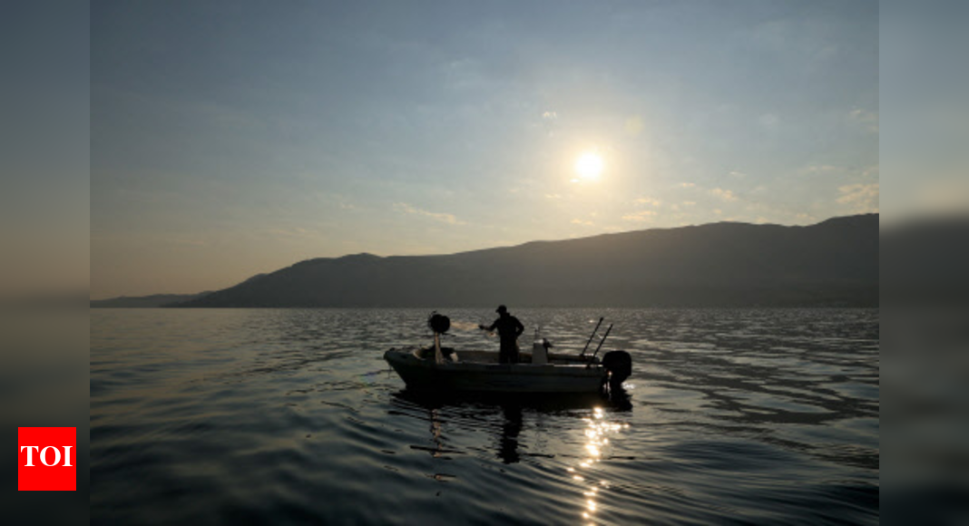 ‘Significant declines’ in some species after deep-sea mining: research