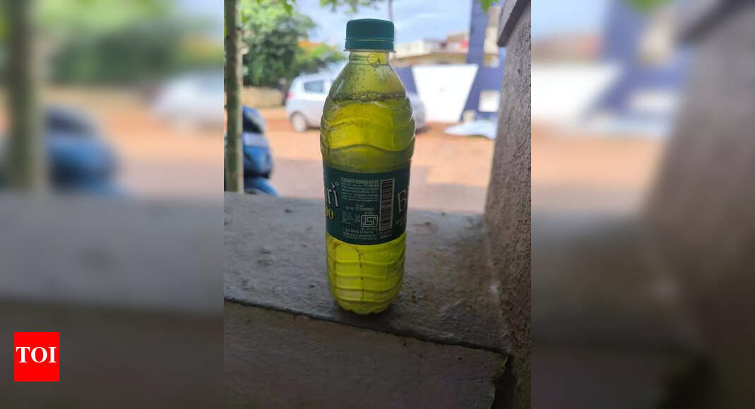 The Times of India - Other - News Image