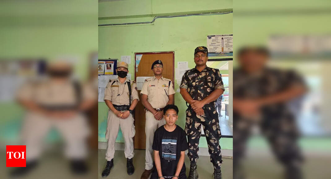 The Times of India - Other - News Image