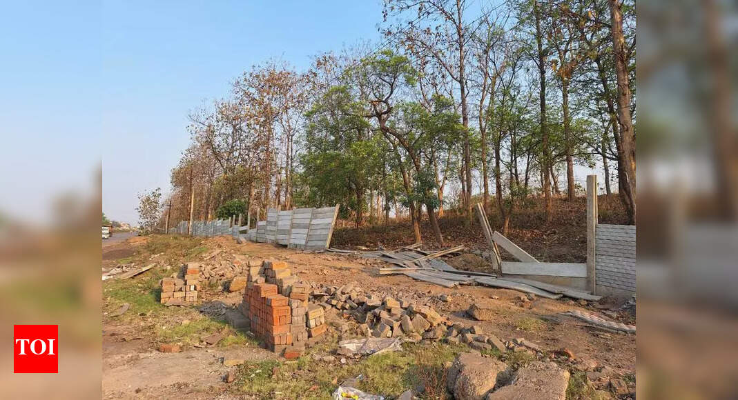 The Times of India - Other - News Image