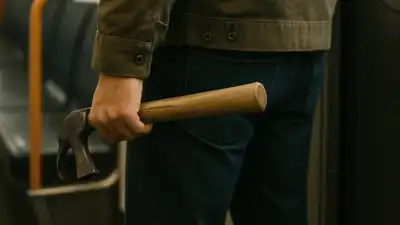  20-year-old Syrian targets passengers with hammer - What we know so far