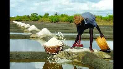 Land-filling destroys khazan at Velim, salt pan in Panaji