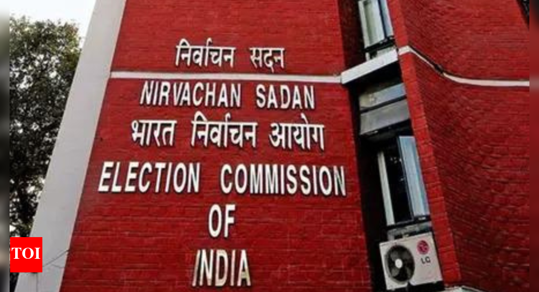 EC to press ahead with poll rolls revision, says it's lawful