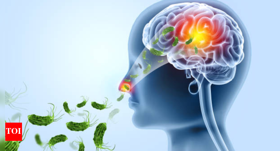 Brain eating amoeba: How warm weather fuels this silent threat