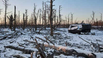  Poisoned land, decimated ecosystems