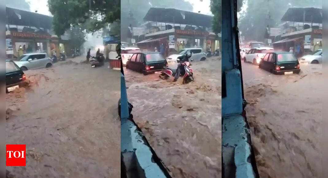 Goa schools closed today due to heavy rainfall alert; check official notice here