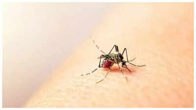 India’s first Dengue vaccine to be rolled out soon: Phase 3 trial enrollment nears completion