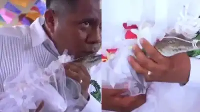  Mexico mayor marries crocodile for ‘prosperity’ with kiss and first dance; video goes viral
