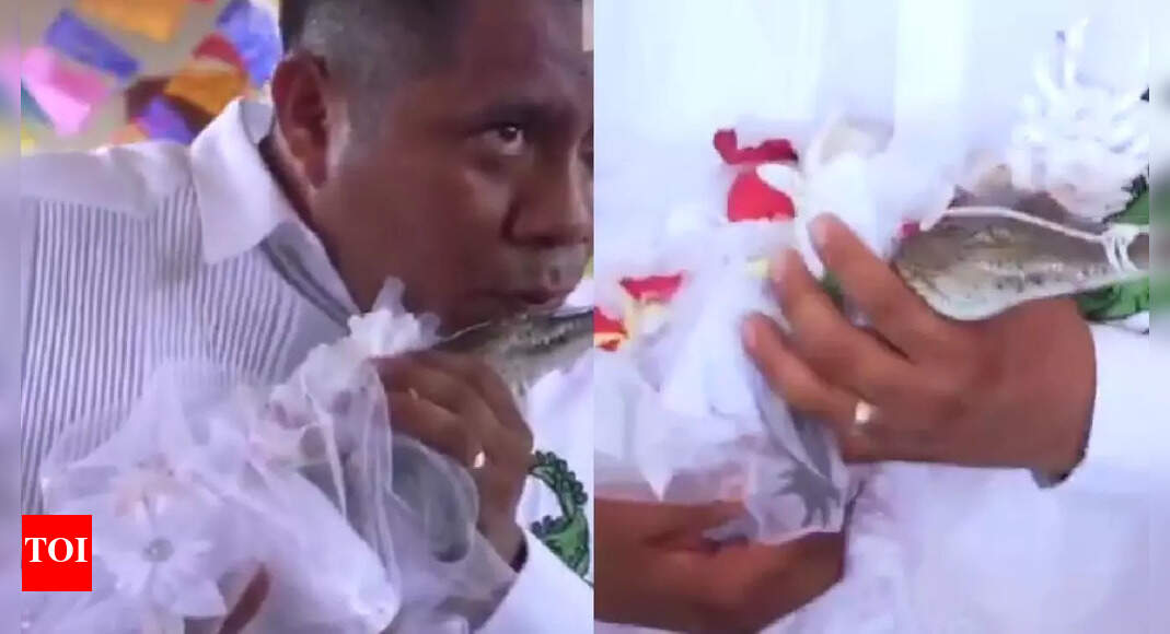 Watch: Mexico mayor marries crocodile for ‘prosperity’ with kiss and first dance; video goes viral