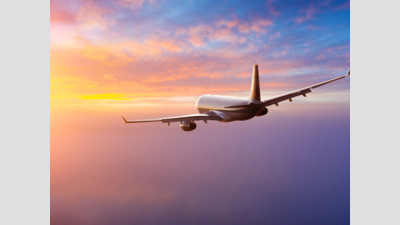 European dream turned into ordeal: Woman sues Bengaluru travel firm for withholding passport, wins refund & compensation