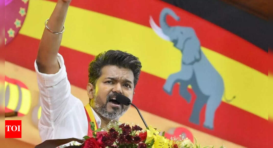 Tamil Nadu 2026 polls: TVK names actor Vijay CM candidate; can he take on MK Stalin?