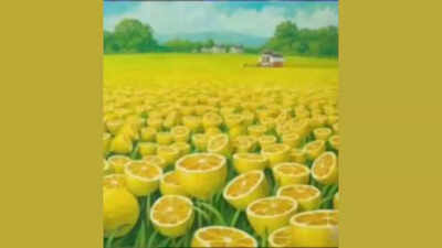  Sky, house, both or lemons? What you see first reveals if you are a dreamer, practical, resilient, or easy-going person