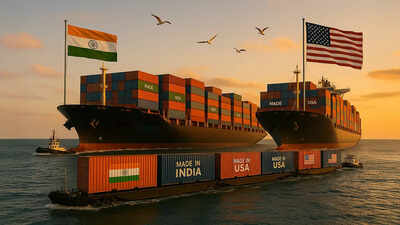  Amidst commercialized   woody  talks, India proposes retaliatory duties against US astatine  WTO; here’s what the contented   is about