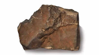 Largest Mars rock could sell for a staggering $4 million