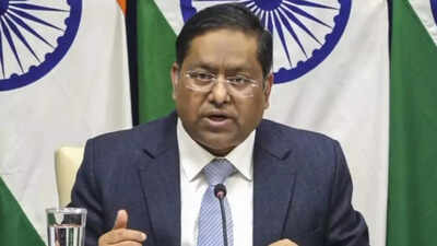  MEA on Dalai Lama succession row; walks tightrope on Sino-India ties