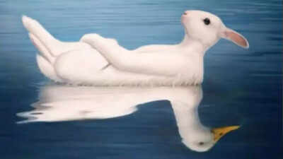  Duck or rabbit? What you see first reveals if you’re more charming or intellectual