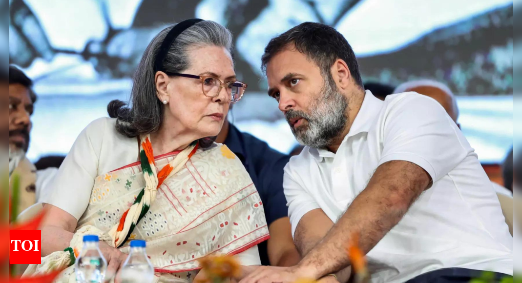National Herald case: 'Strange, unprecedented,' Sonia Gandhi tells court, cites 'Hamlet'