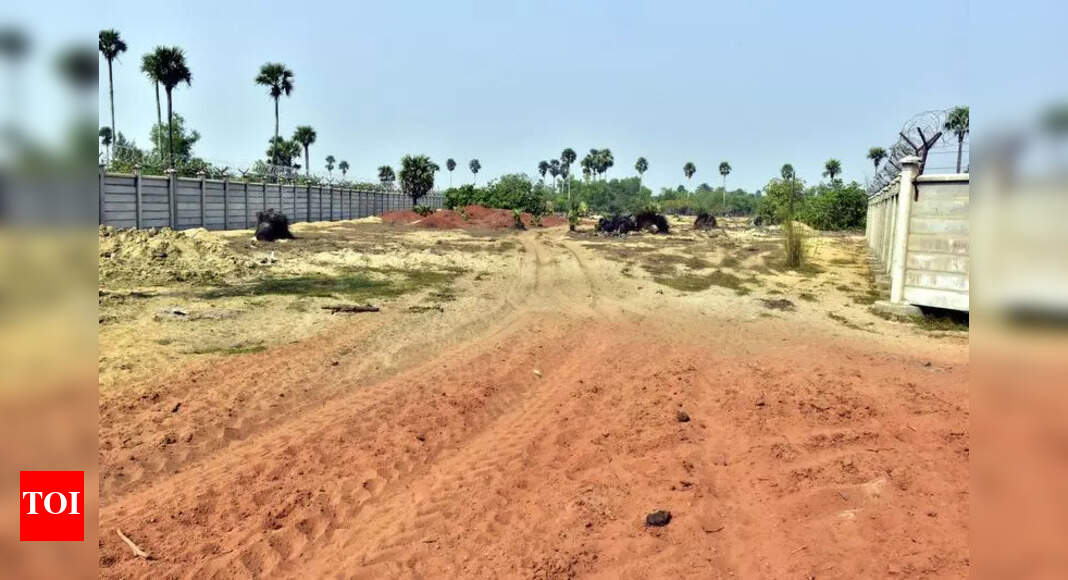 The Times of India - Other - News Image