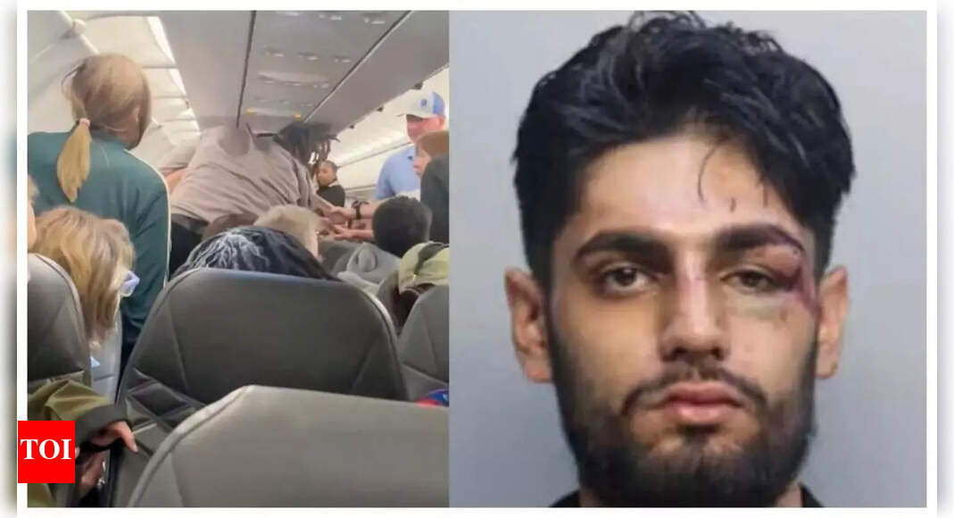 'He was doing some ha ha ha ha dark laugh': Passenger on what led to viral fight with Indian-origin Ishaan Sharma