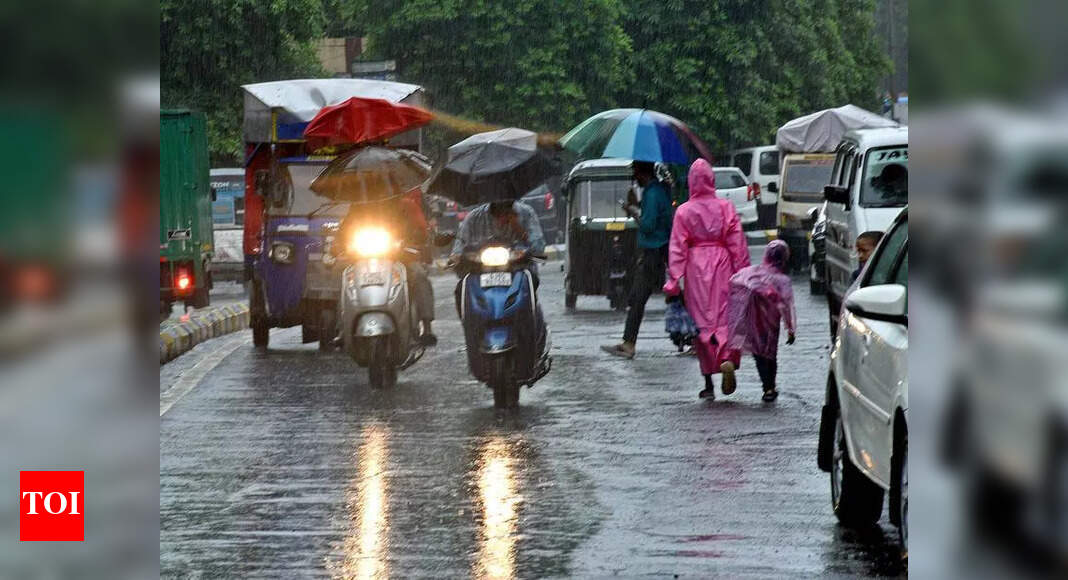 The Times of India - Politics - News Image