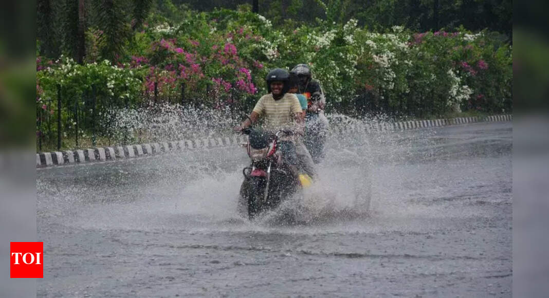 The Times of India - Politics - News Image