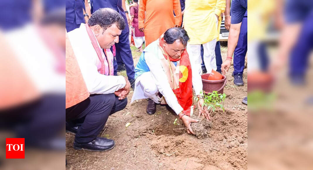 The Times of India - Politics - News Image