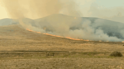 California’s Madre wildfire explodes; scorching over 70,800 acres of land, fire officials warn of 'extreme' weather conditions