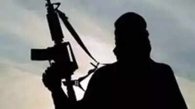  3 Indians, including 2 from Telugu states, abducted by al-Qaeda-linked militants; diamond cement factory staff taken hostage