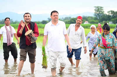 CM Dhami plants paddy in Khatima, pays tribute to farmers’ hard work
