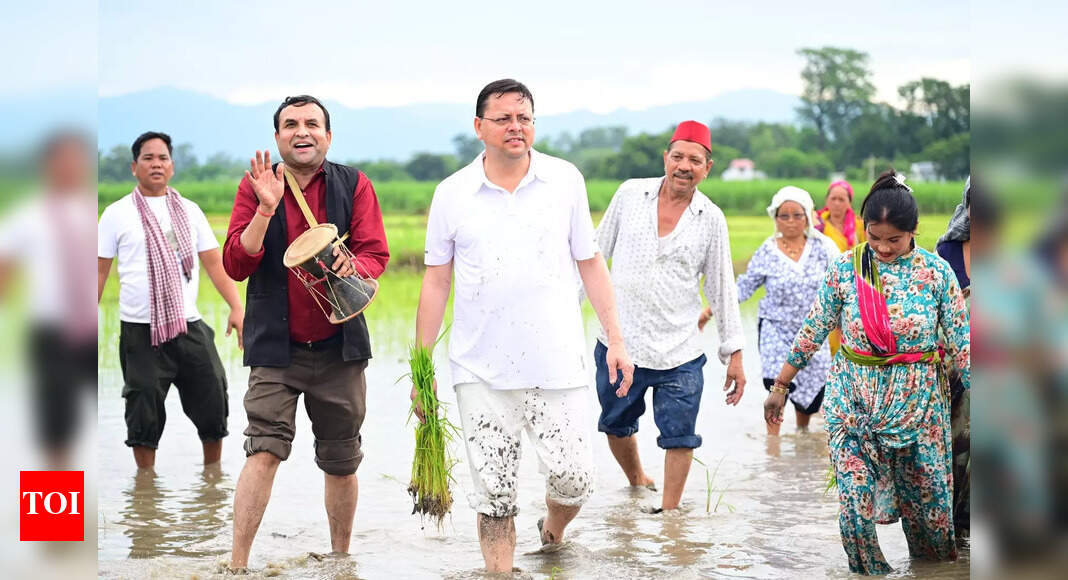 CM Dhami plants paddy in Khatima, pays tribute to farmers’ hard work