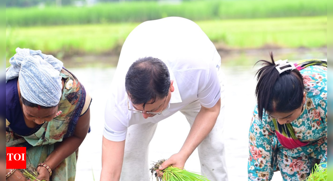 Millet push, kiwi boost, dragon fruit drive: Uttarakhand's Dhami government reflects on 4 years of farm and horticulture reforms
