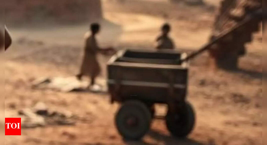 Pakistan's development rests on backs of child labourers as 1.6 million children are exploited in Sindh