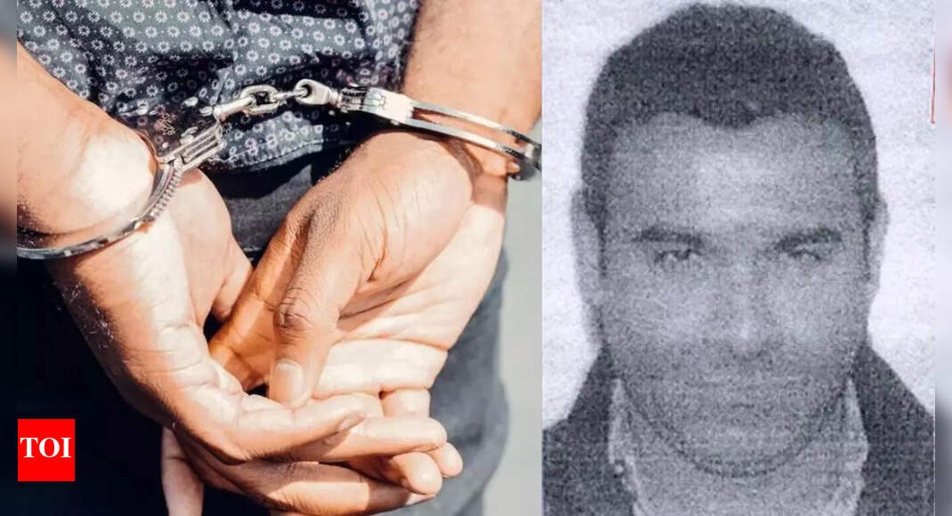 'Destroyed evidence': Who is Nehal Modi? Nirav Modi’s brother held in US on India's request; how is he linked to PNB scam case