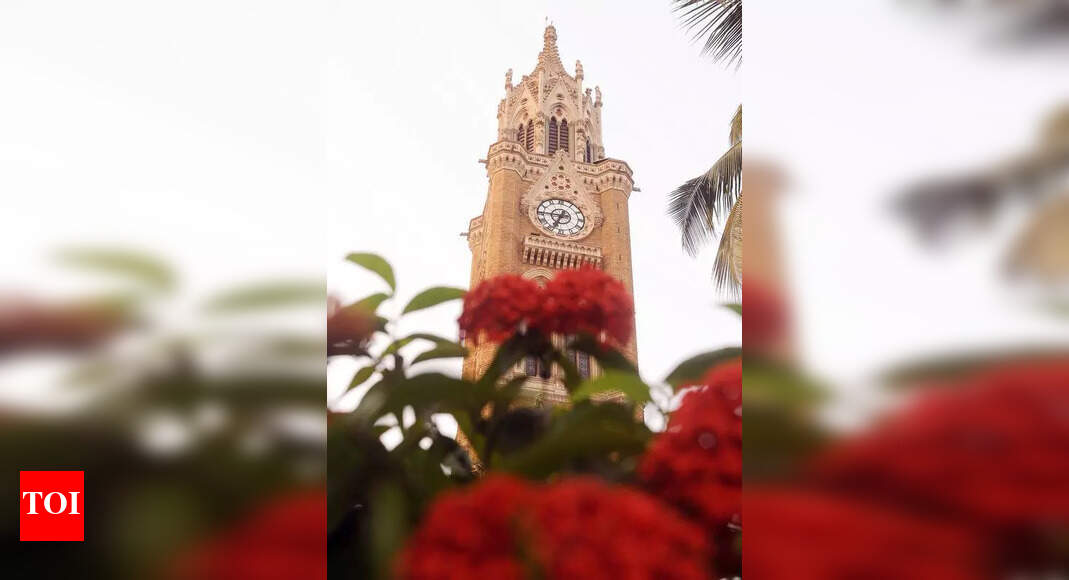 Mumbai University management council turns down proposal to transfer land to state-run Dr Babasaheb Ambedkar Technological University
