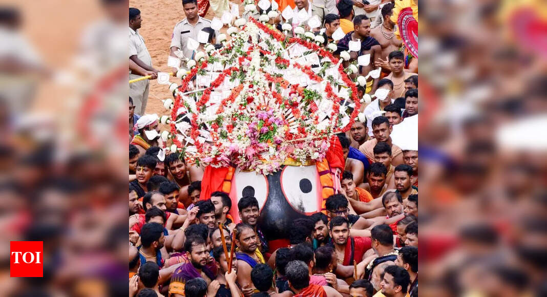 The Times of India - Other - News Image