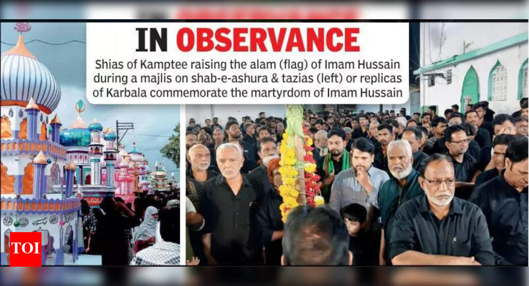 The Times of India - Politics - News Image