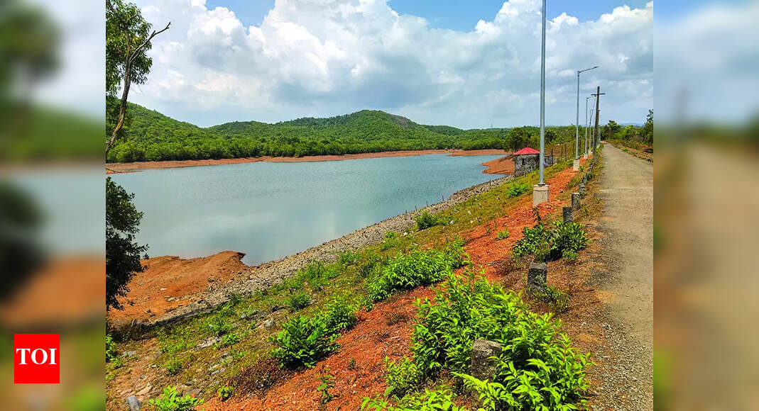 The Times of India - Business - News Image