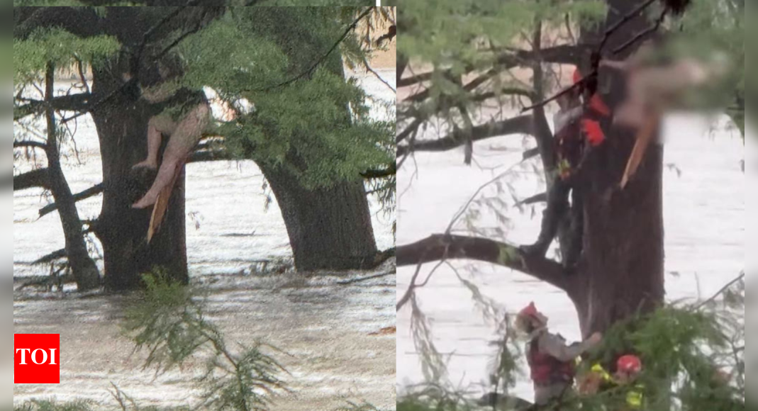 Swept 32 km by Texas floods: Woman survives four dams and floating debris; rescued clinging to tree
