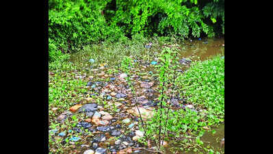 Multiple sources continue to add to Sal’s pollution