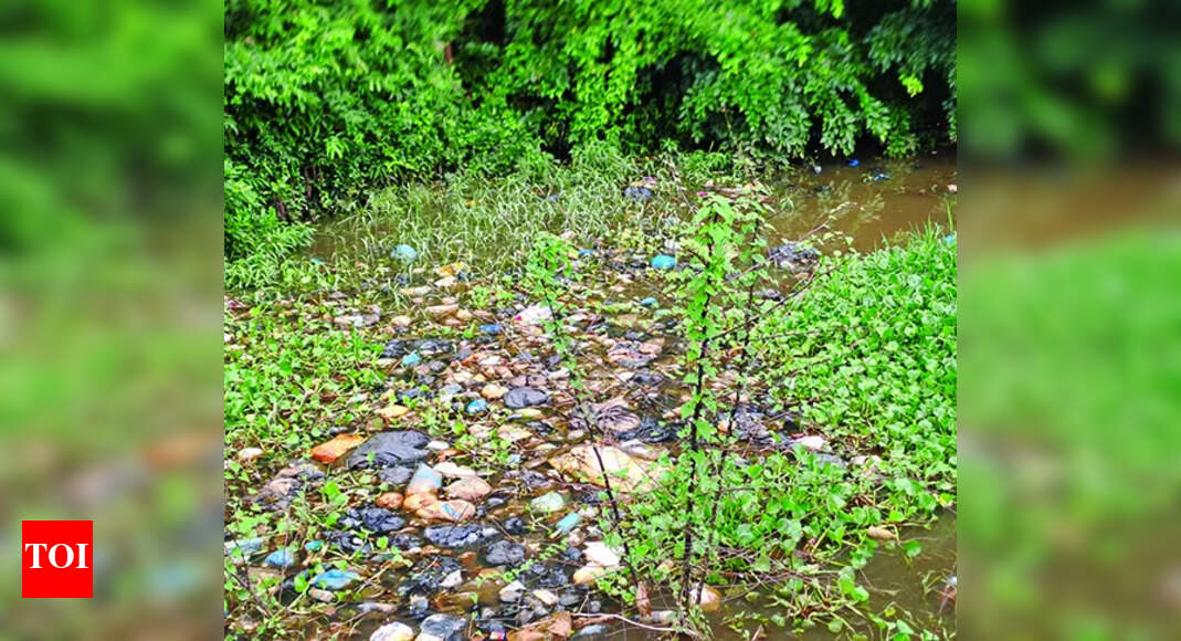 Multiple sources continue to add to Sal’s pollution