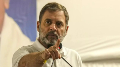  Rahul Gandhi's counsel in Herald case
