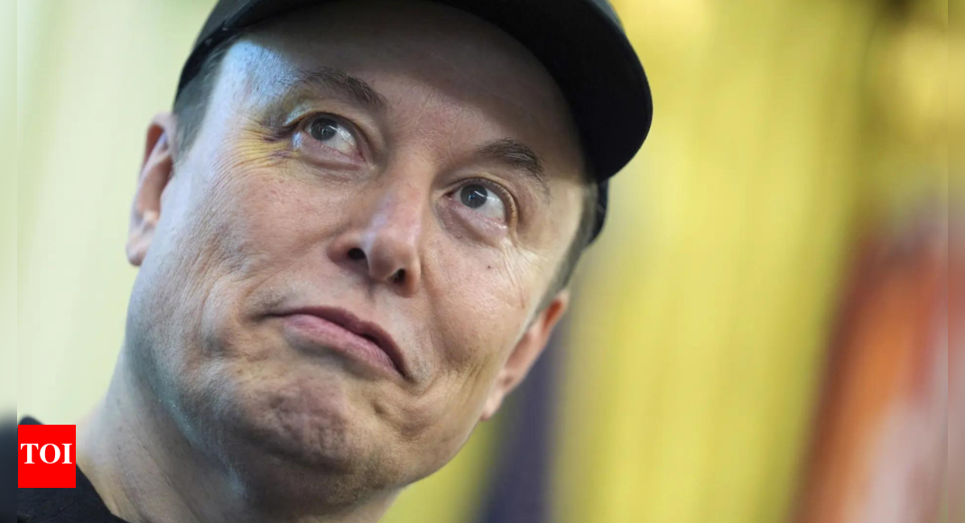 'How Epaminondas beat Spartans': Elon Musk cites Greek history; launches 'America Party' to fight 'uniparty system'