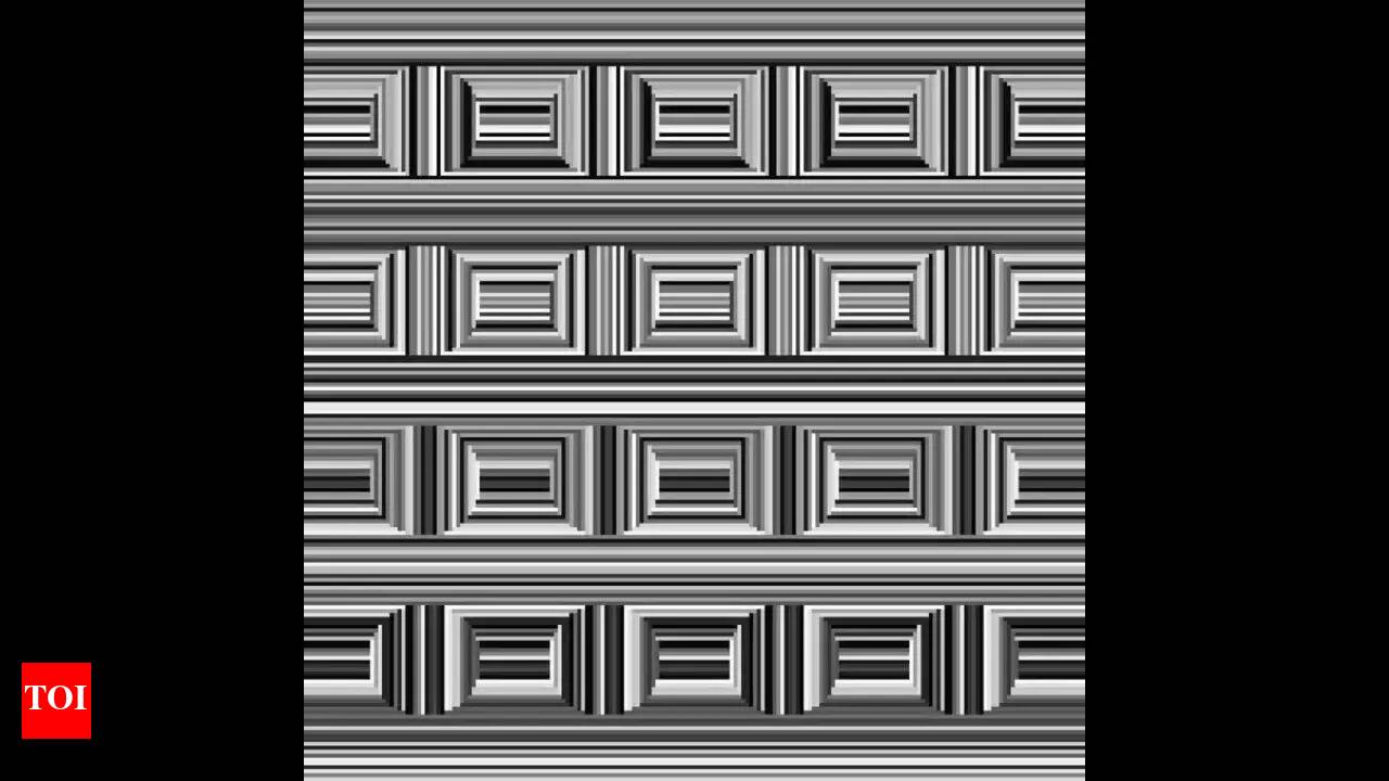 Optical Illusions Circles Or Squares