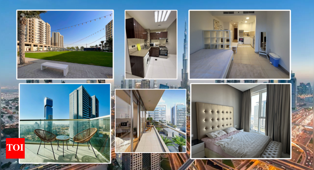 Where to find affordable housing and studio rentals in UAE 2025: Best picks for bachelors, newcomers