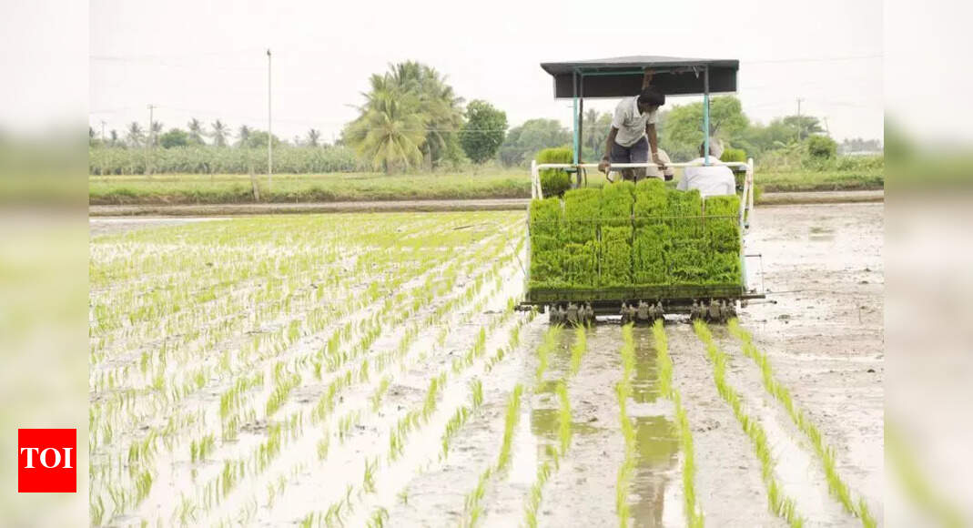 The Times of India - Business - News Image