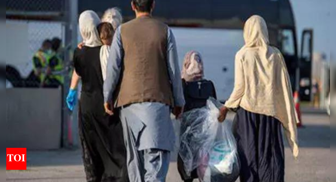 ‘Emergency situation’: Influx of Afghans returning to their country from Iran ahead of deadline; 250,000 already returned in June