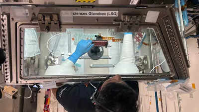 Shux, Ax-4 crew carry out multiple studies on brain