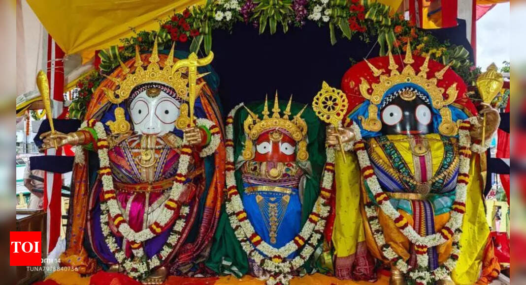 The Times of India - Other - News Image